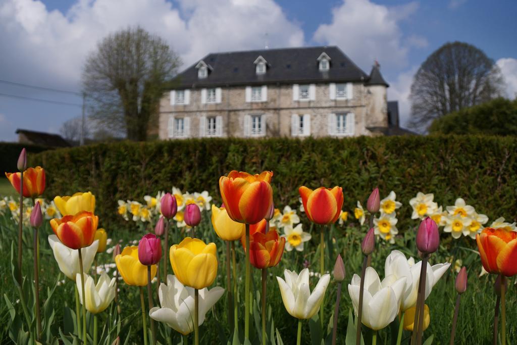 Chateau De Savennes - Caveau De Sabrage Bed & Breakfast Exterior photo